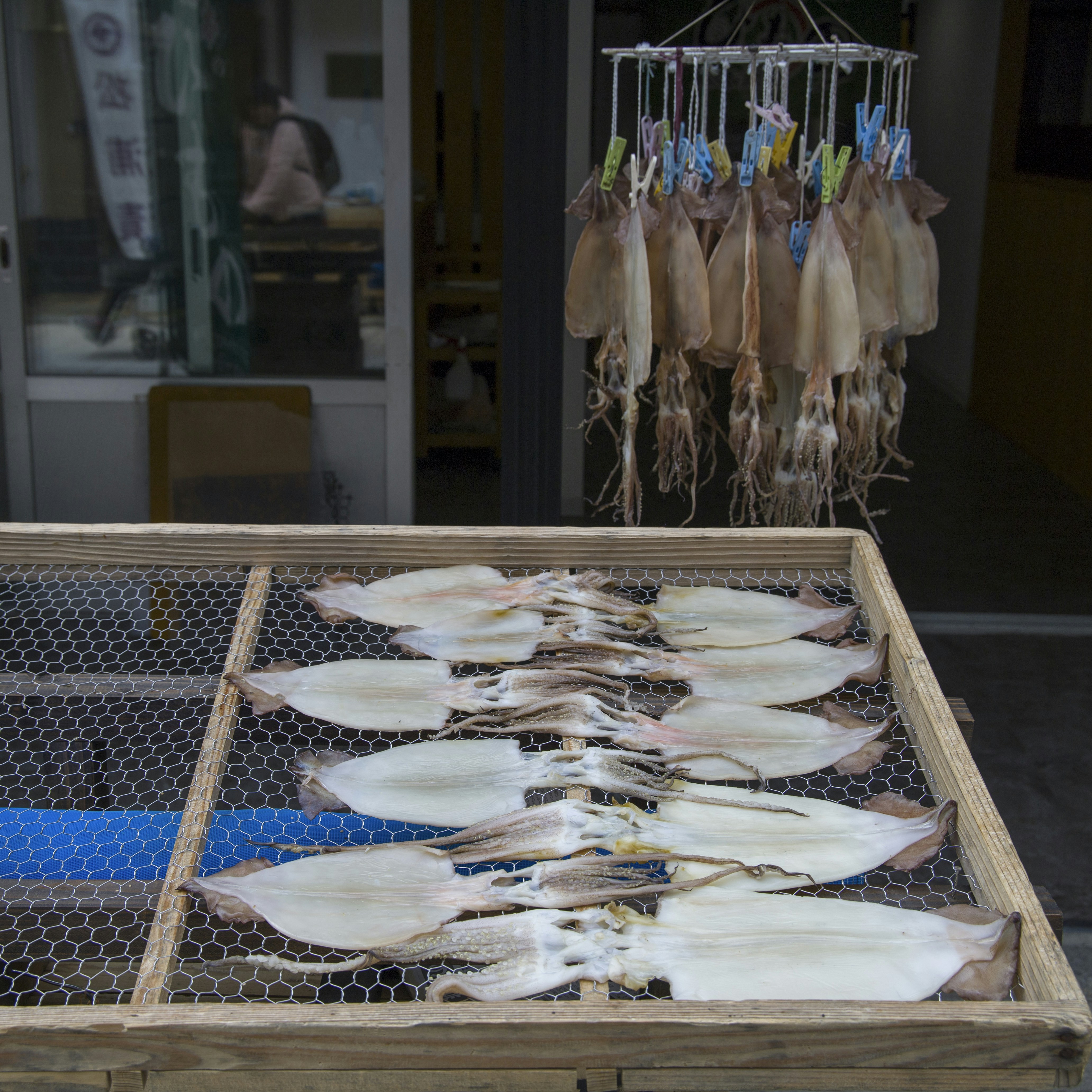 dried squid