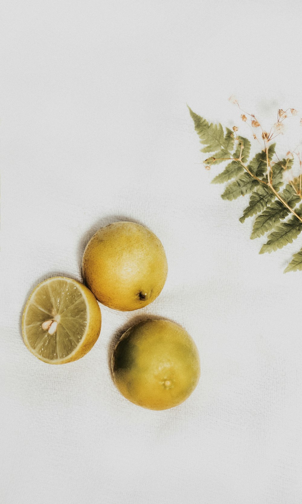 two round fruits