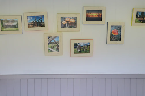 A warm, inviting gallery wall featuring eight vibrant and diverse photos representing various moments and achievements.