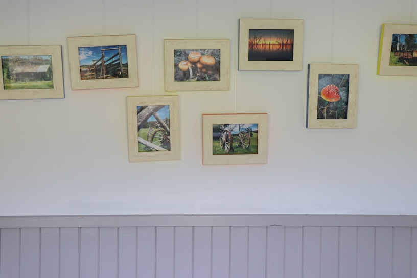 A row of diverse framed photographs displayed on a clean white wall.