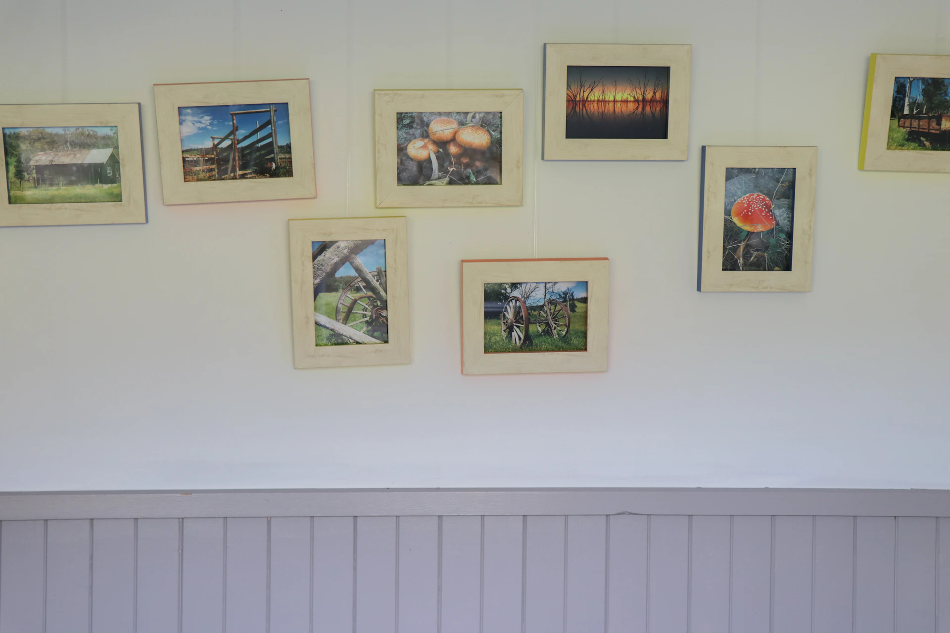 A gallery wall featuring vibrant, diverse photos arranged neatly, highlighting the variety and clarity of visual evidences.