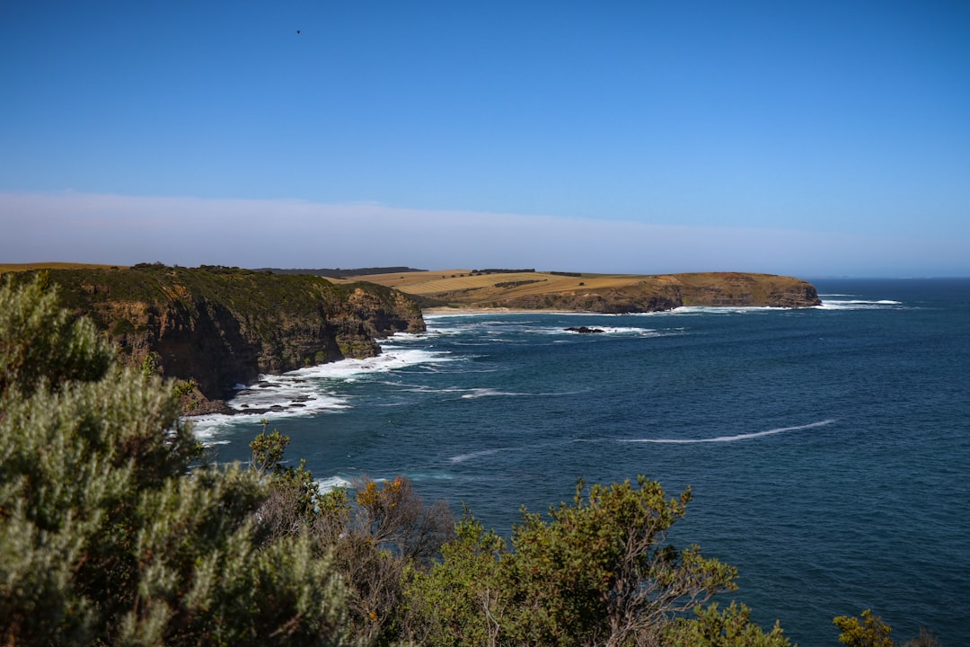 wide-angle photography of seashore during daytime