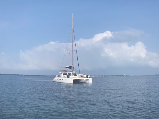 white speedboat on the body of water in Delft Island Sri Lanka