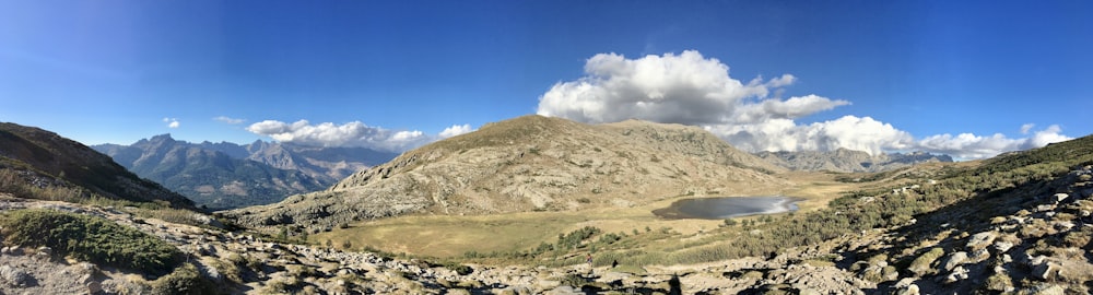 rocky field and grass during day