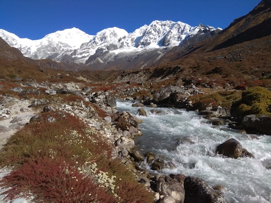 flowing water in Khangchendzonga National Park India