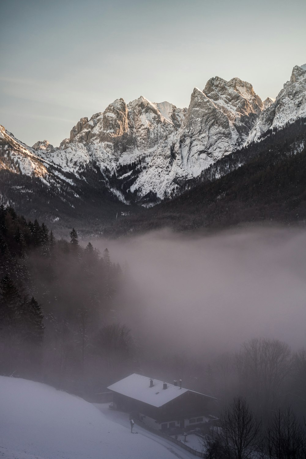 Casa vicino agli alberi e alle montagne rocciose