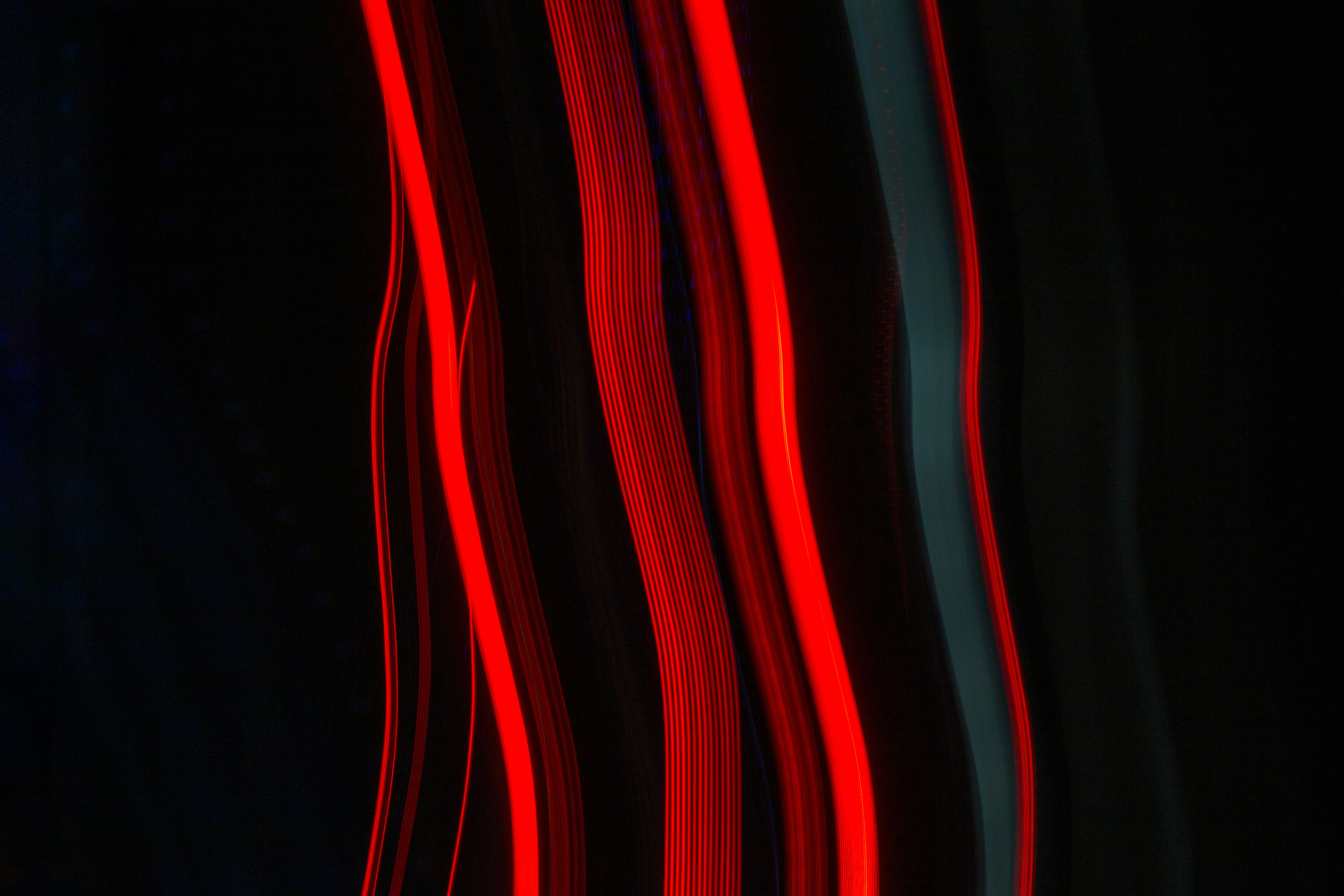 Photo by levi_midnight