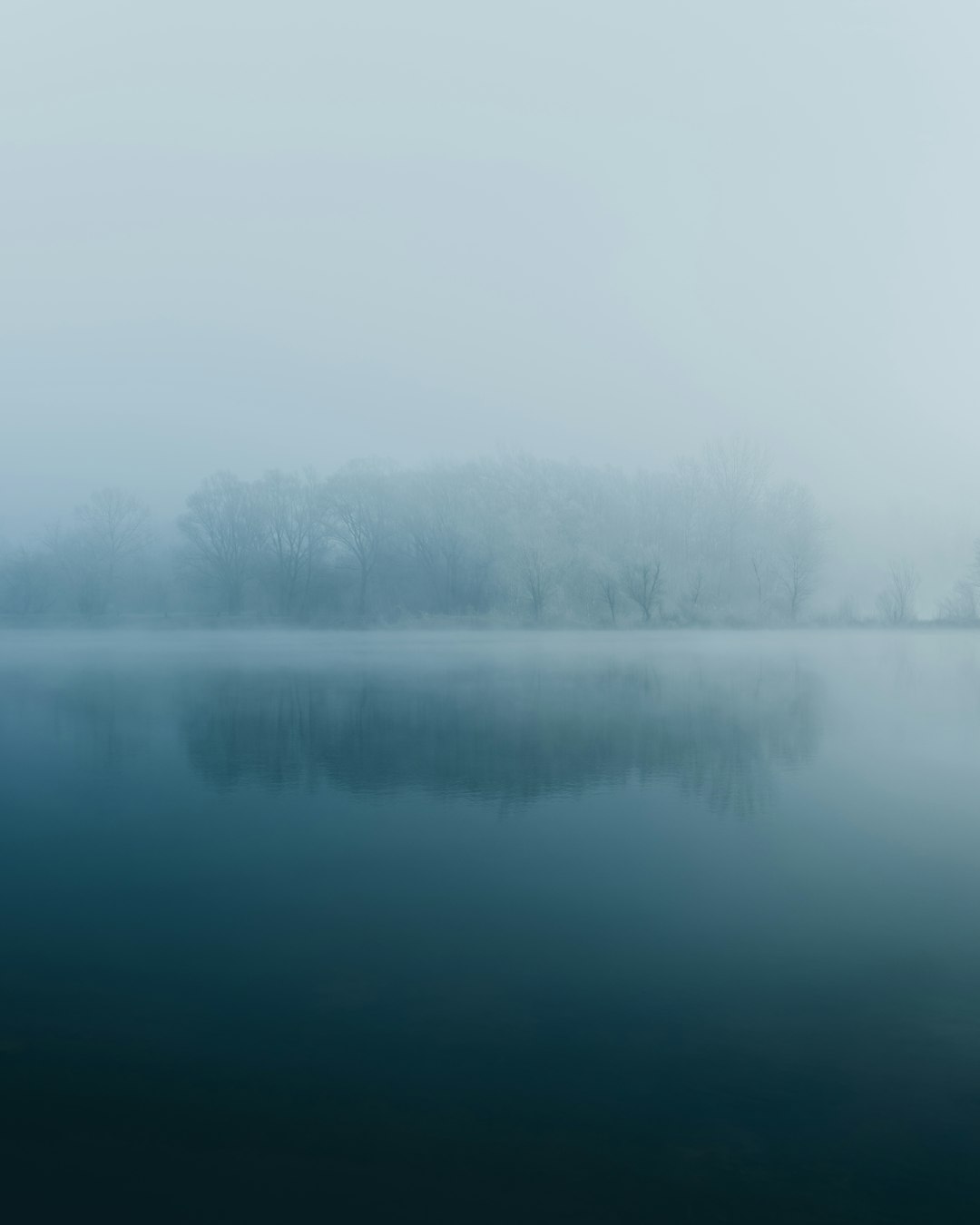 reflection of trees on body of water