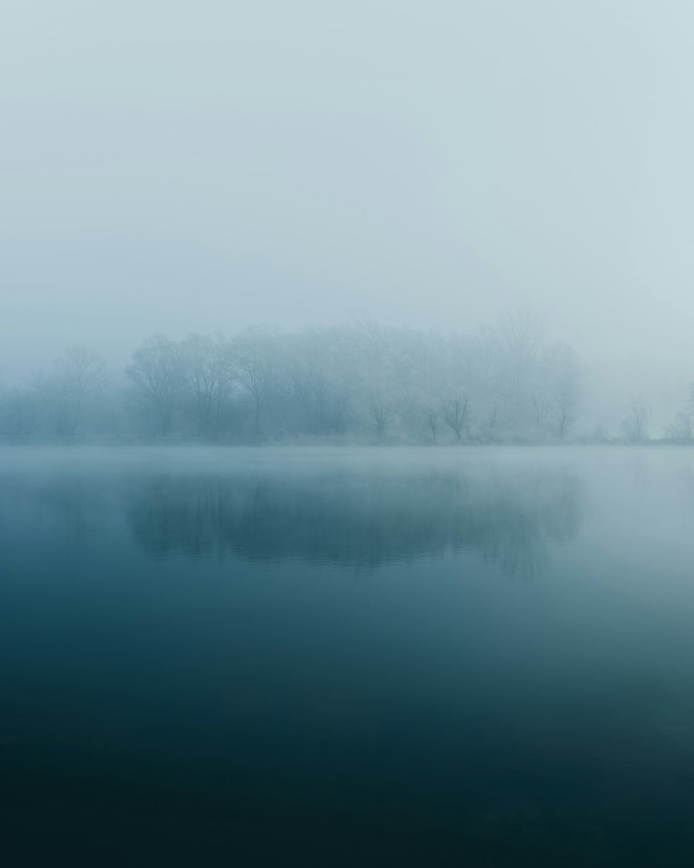 Riflessione degli alberi sullo specchio d'acqua