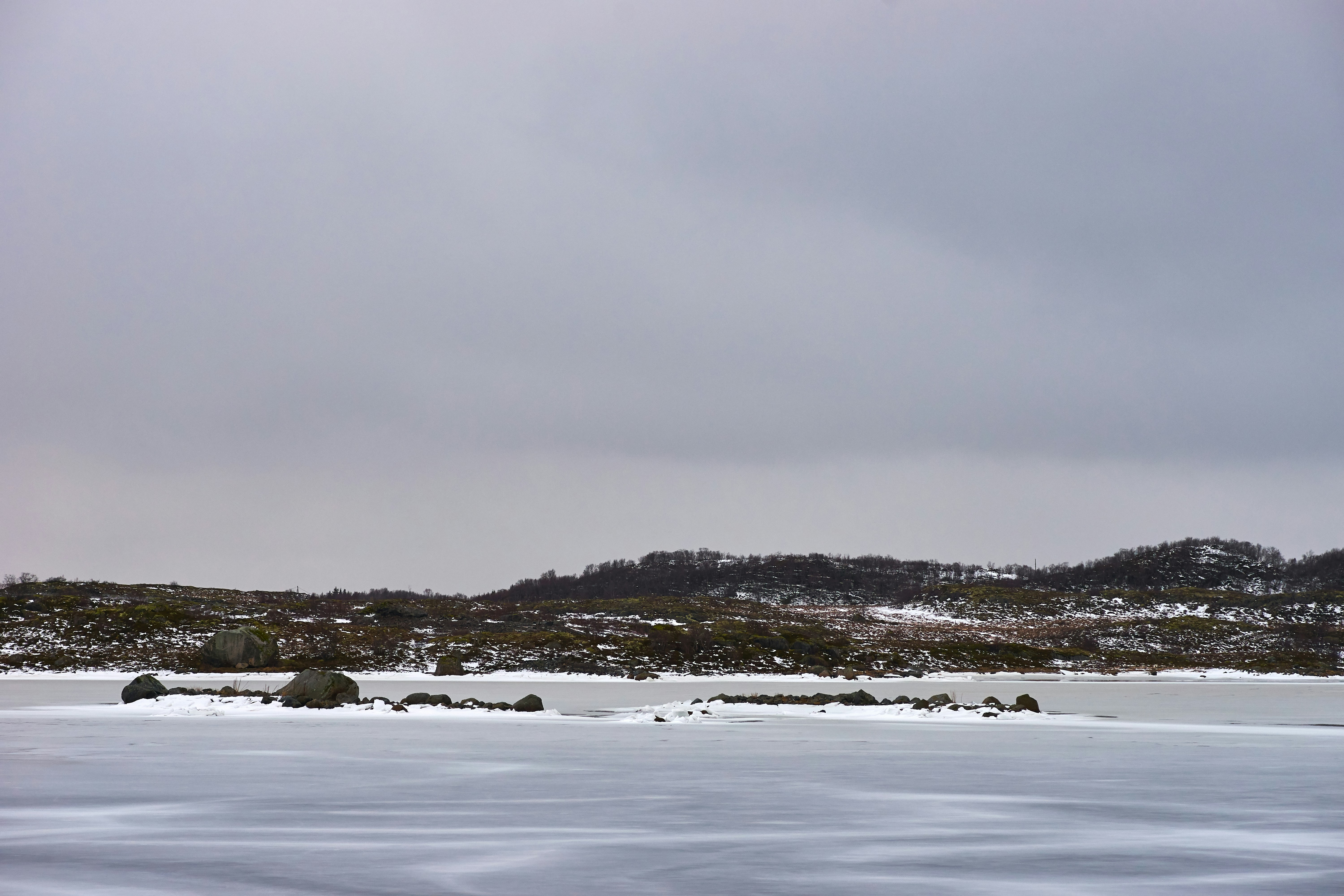 Photo by wolfgang_hasselmann