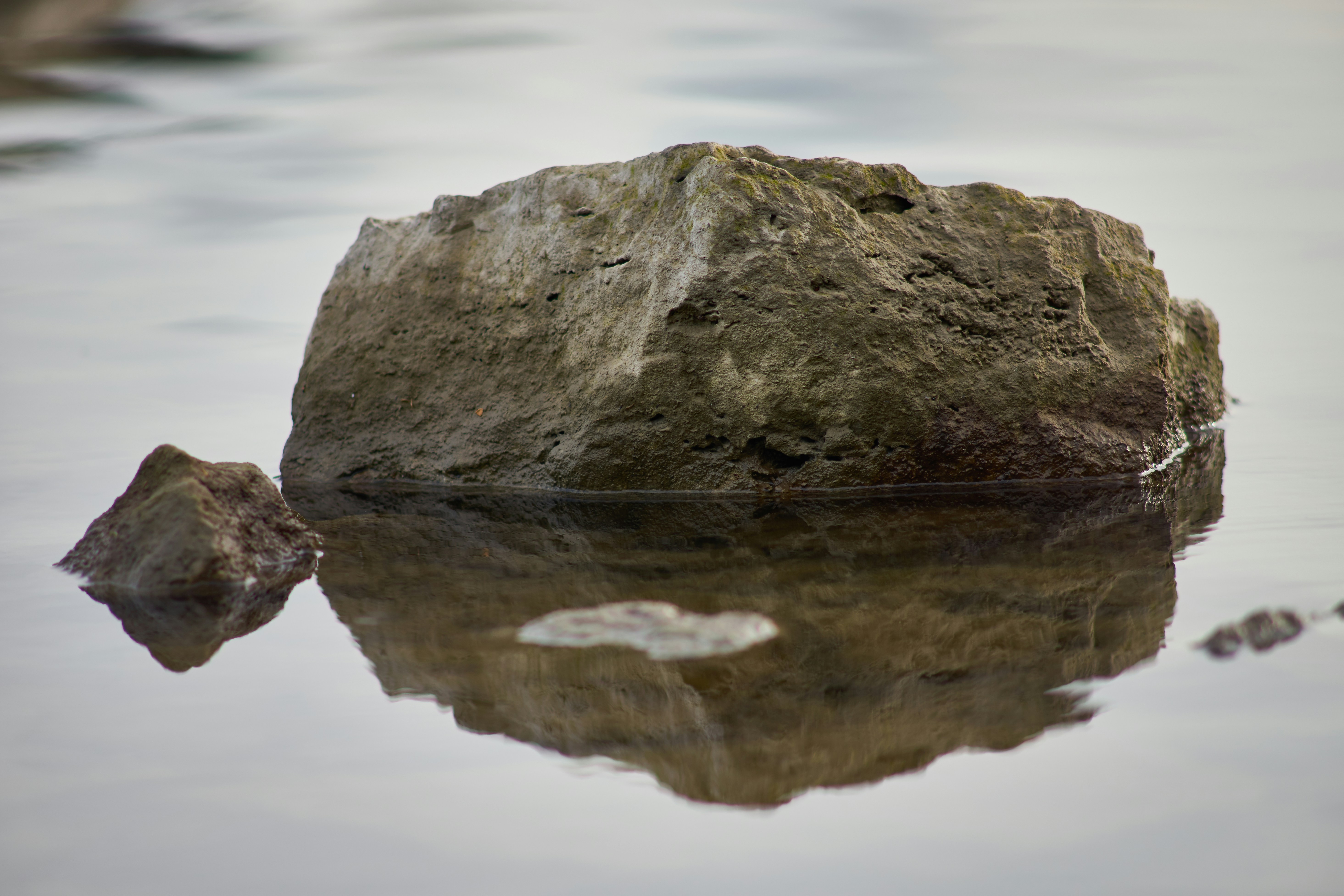 Photo by wolfgang_hasselmann