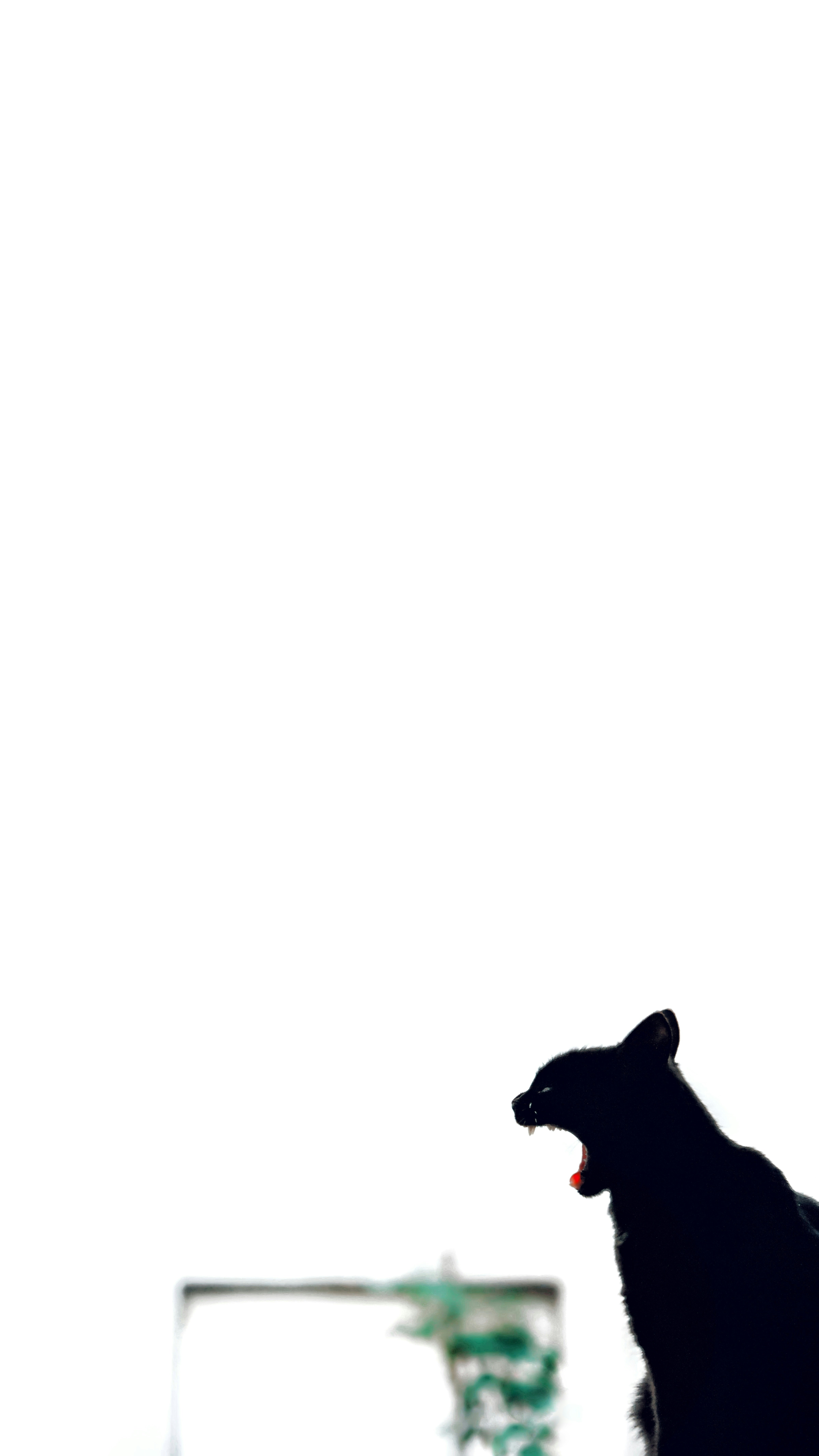 Photo by abdullahoguk