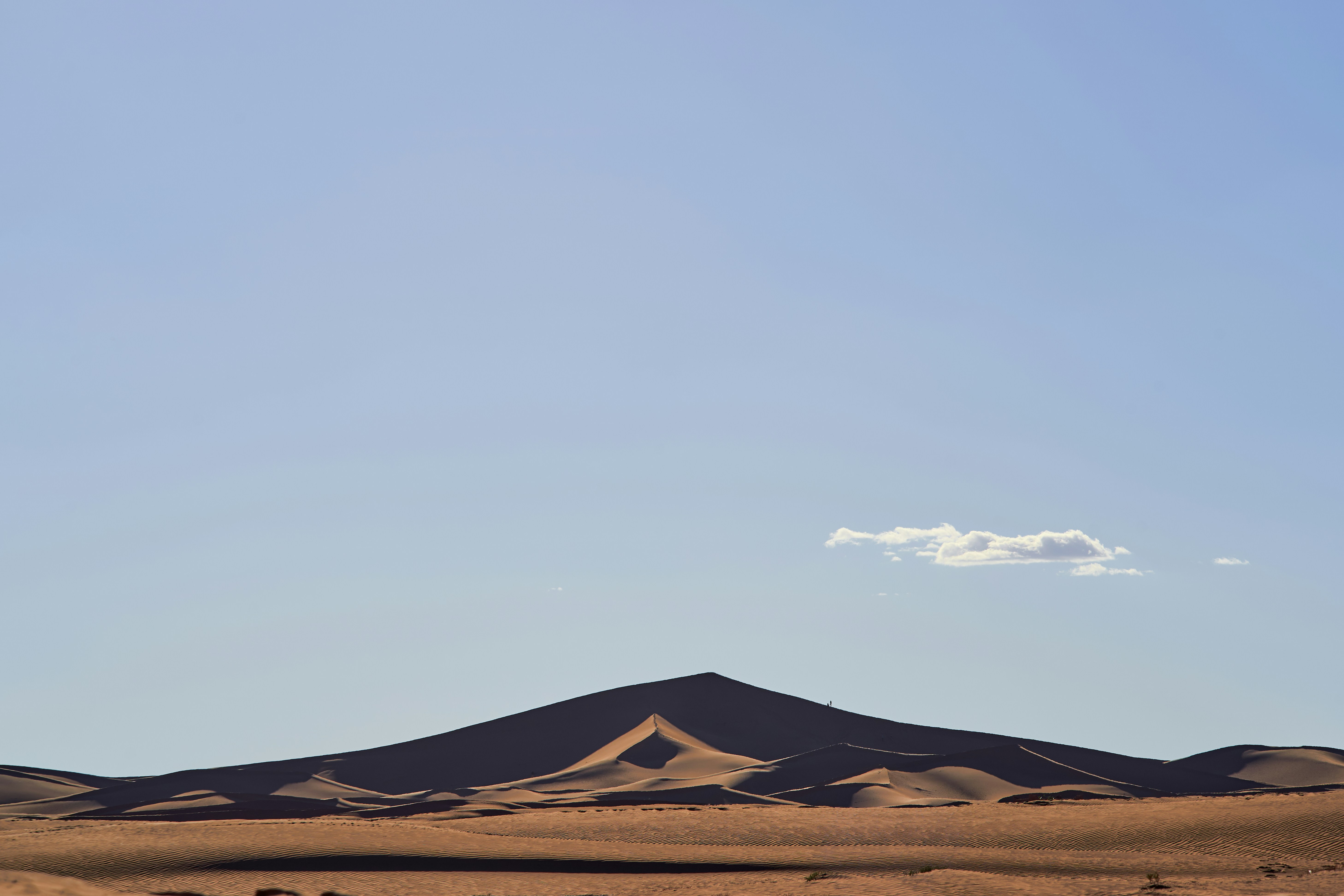 Photo by wolfgang_hasselmann