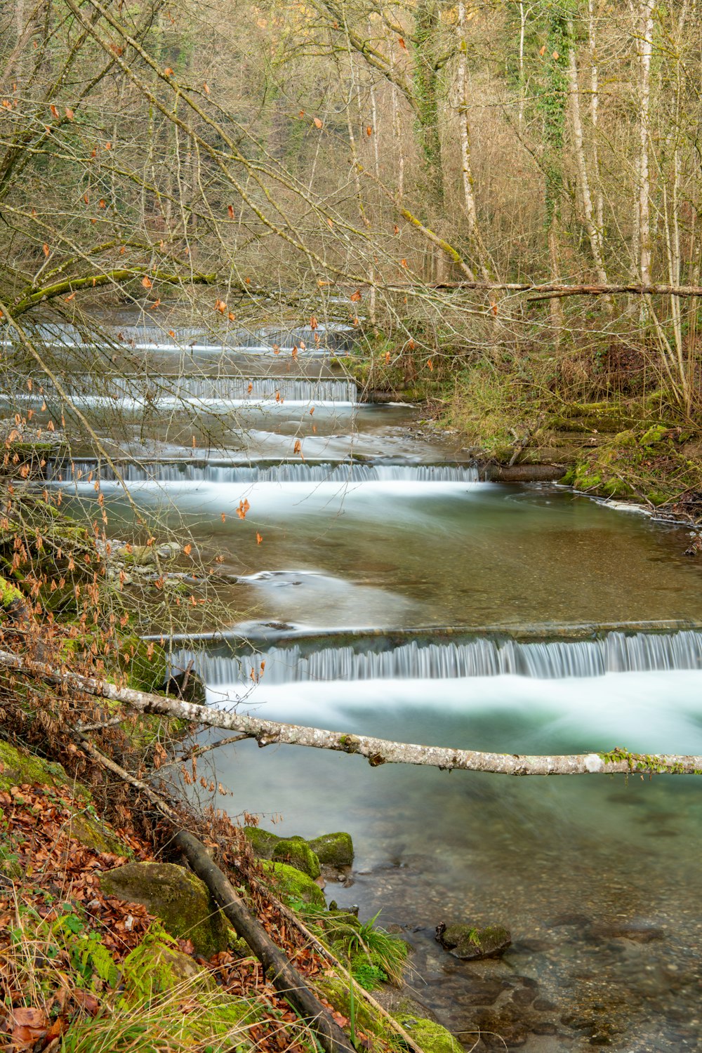 body of water during daytime