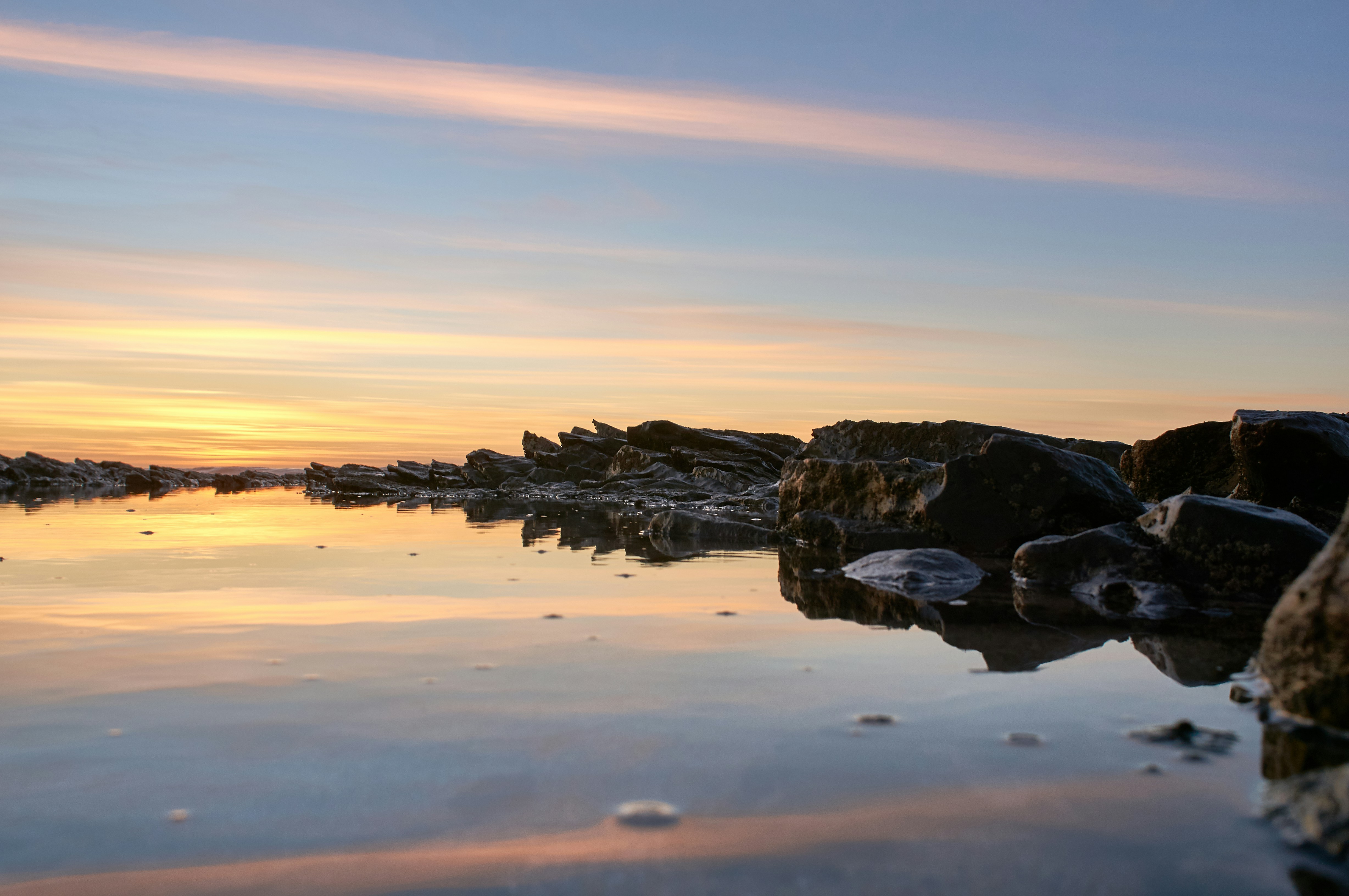 Photo by wolfgang_hasselmann