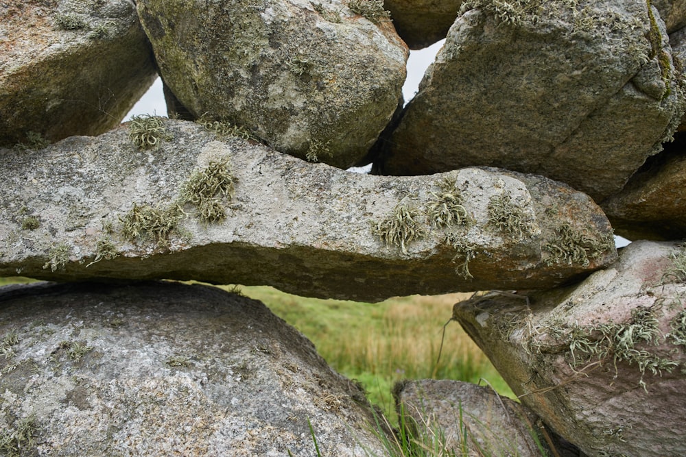 macro photography of gray rock formations