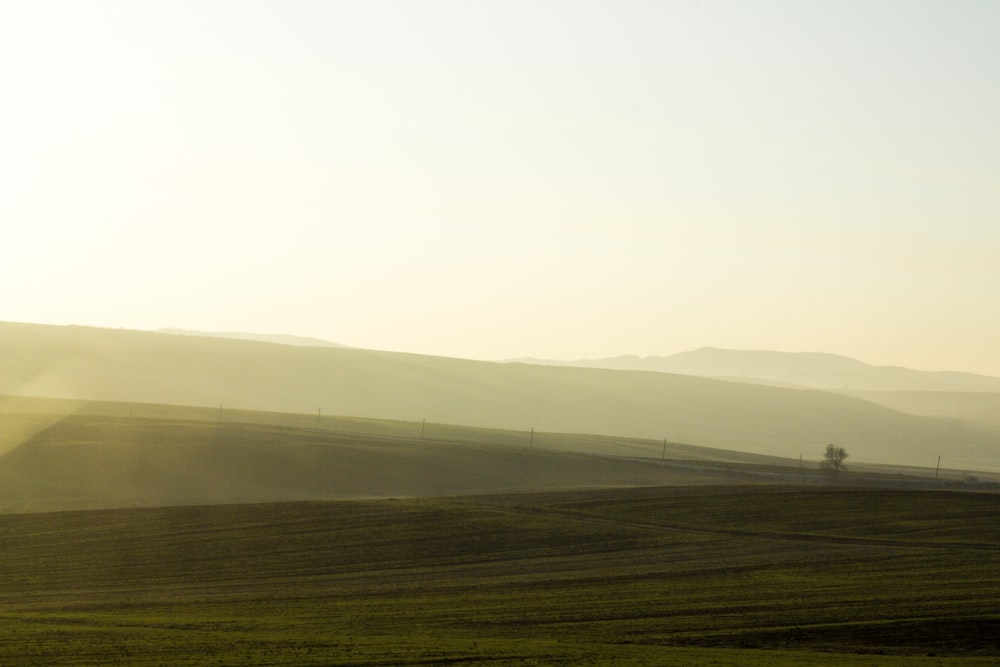 green field under white sky