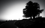 Silhouette of a lone figure walking along a dusty road at dusk.