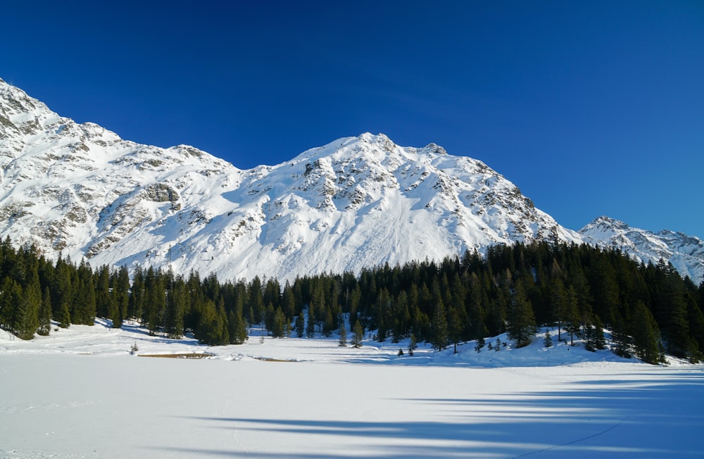 Fotografía de montaña nevada