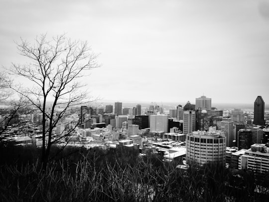 greyscale photograph of city in Mont Royal Canada