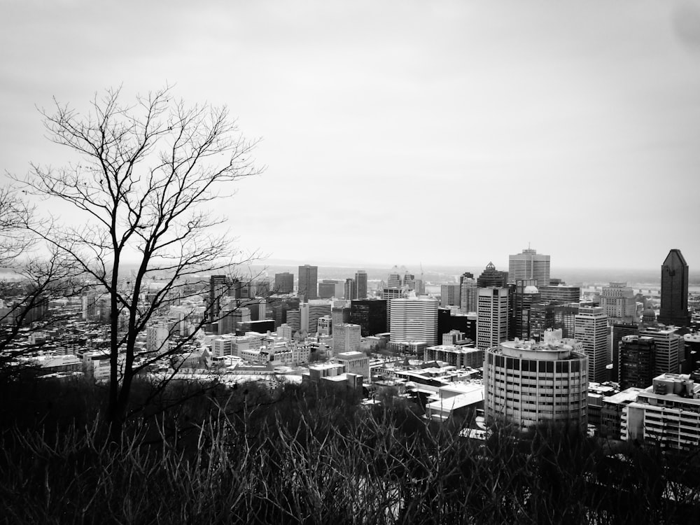 greyscale photograph of city