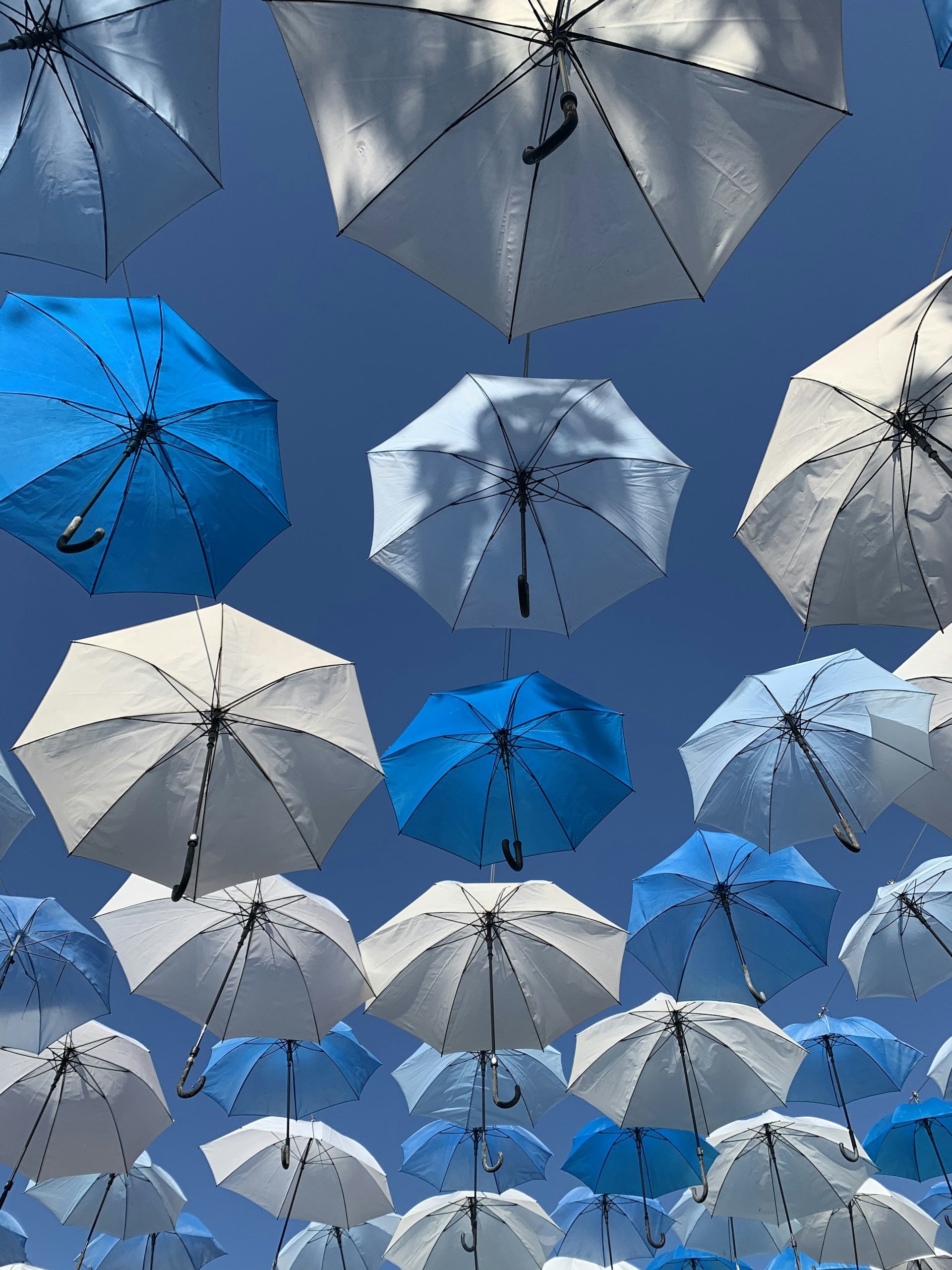 white and blue umbrellas hanging during daytime