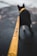 A black dog is wearing a yellow leash with the brand name Off-White written on it. The background is blurred, and the focus is on the leash leading to the dog.