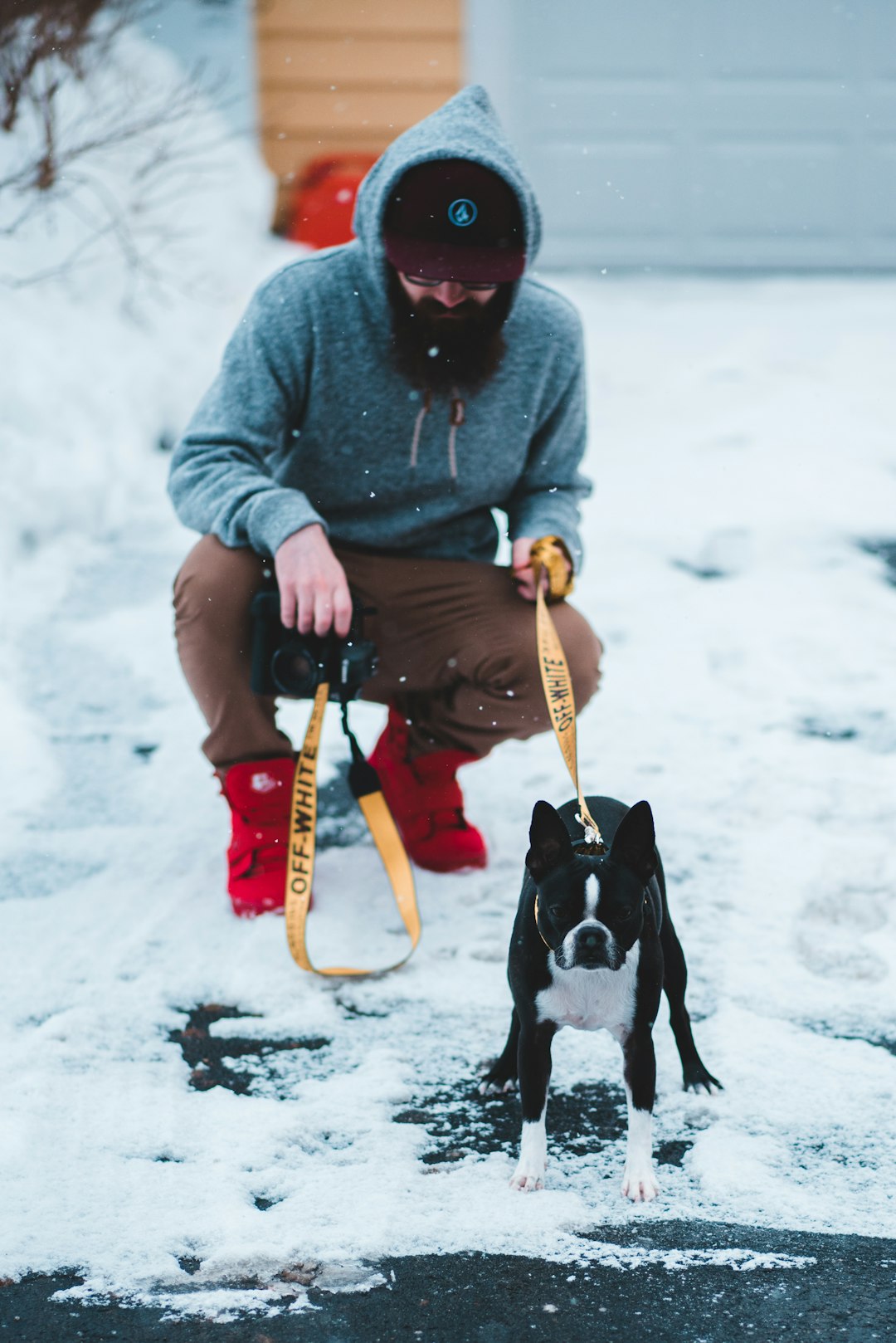 man sitting beside dog