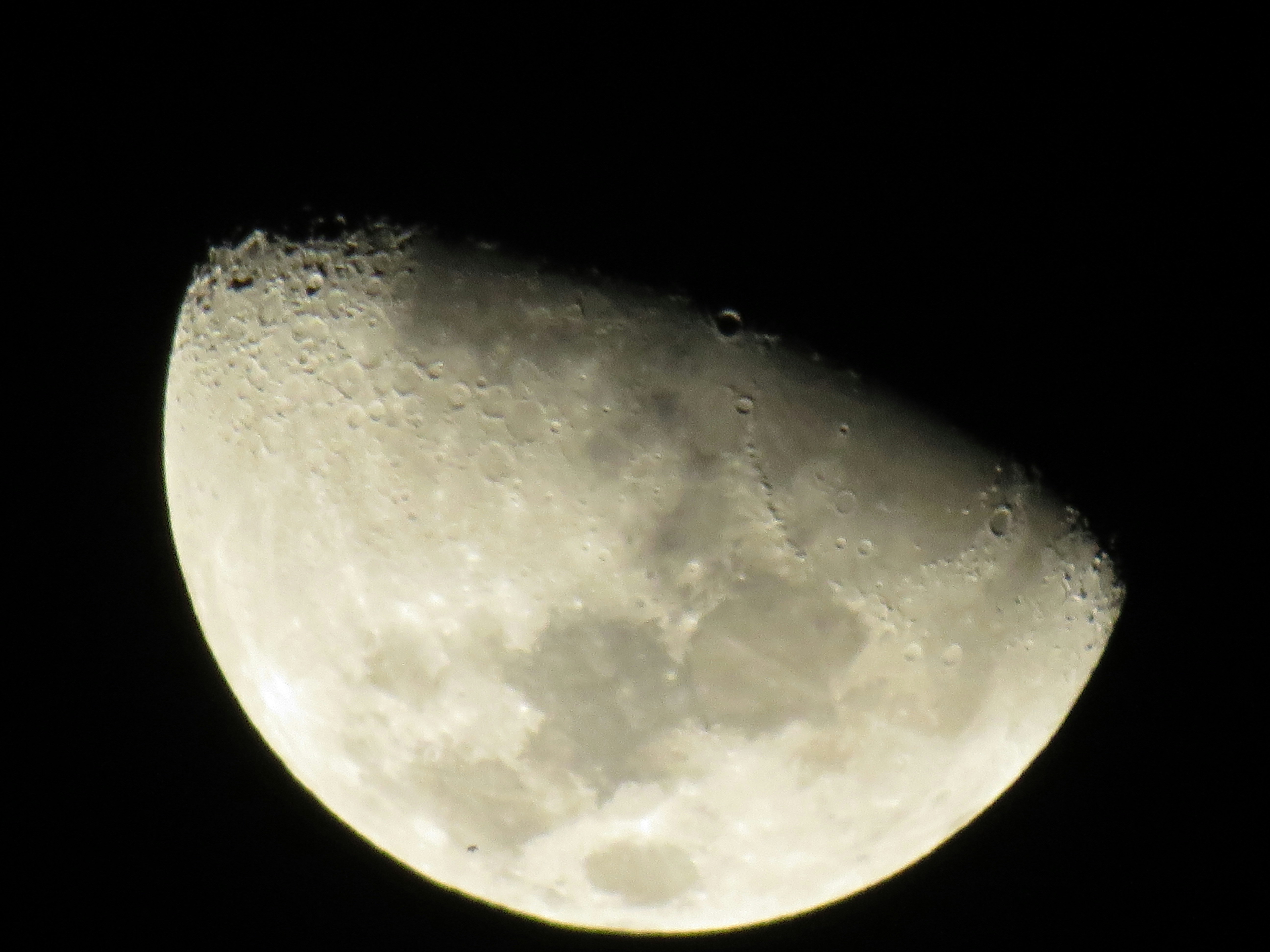 Rentible header image