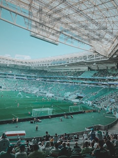 people watching soccer game