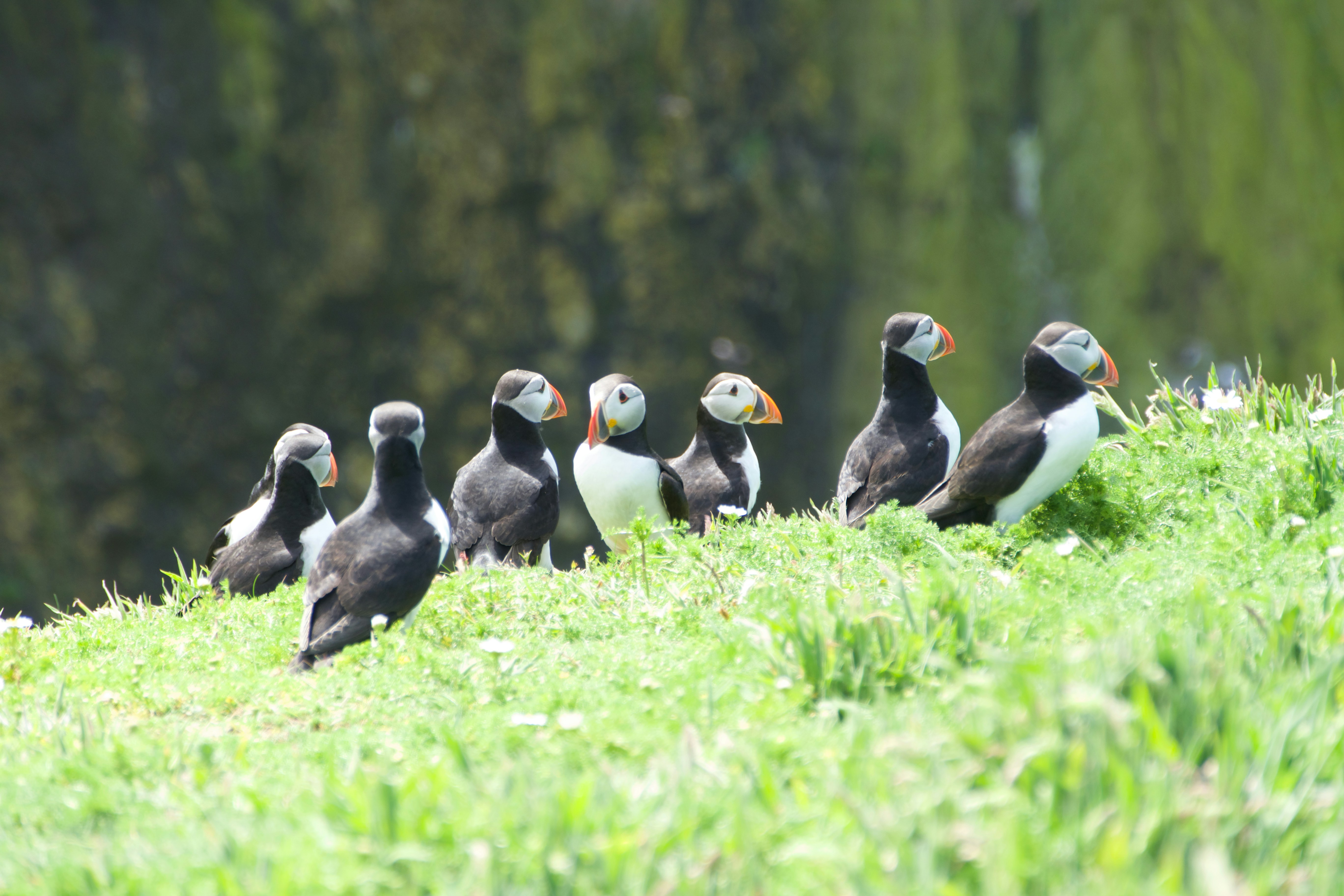 Photo by devon_terry