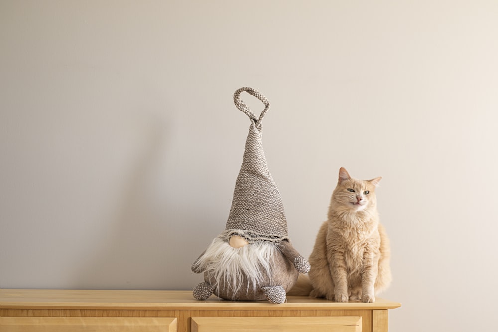 orange tabby cat beside the gnome plush toy