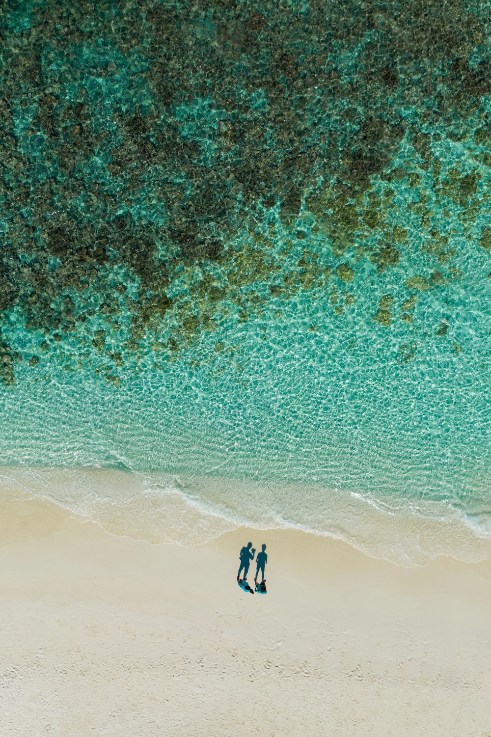 Fotografía aérea de dos personas de pie cerca de la orilla del mar durante el día