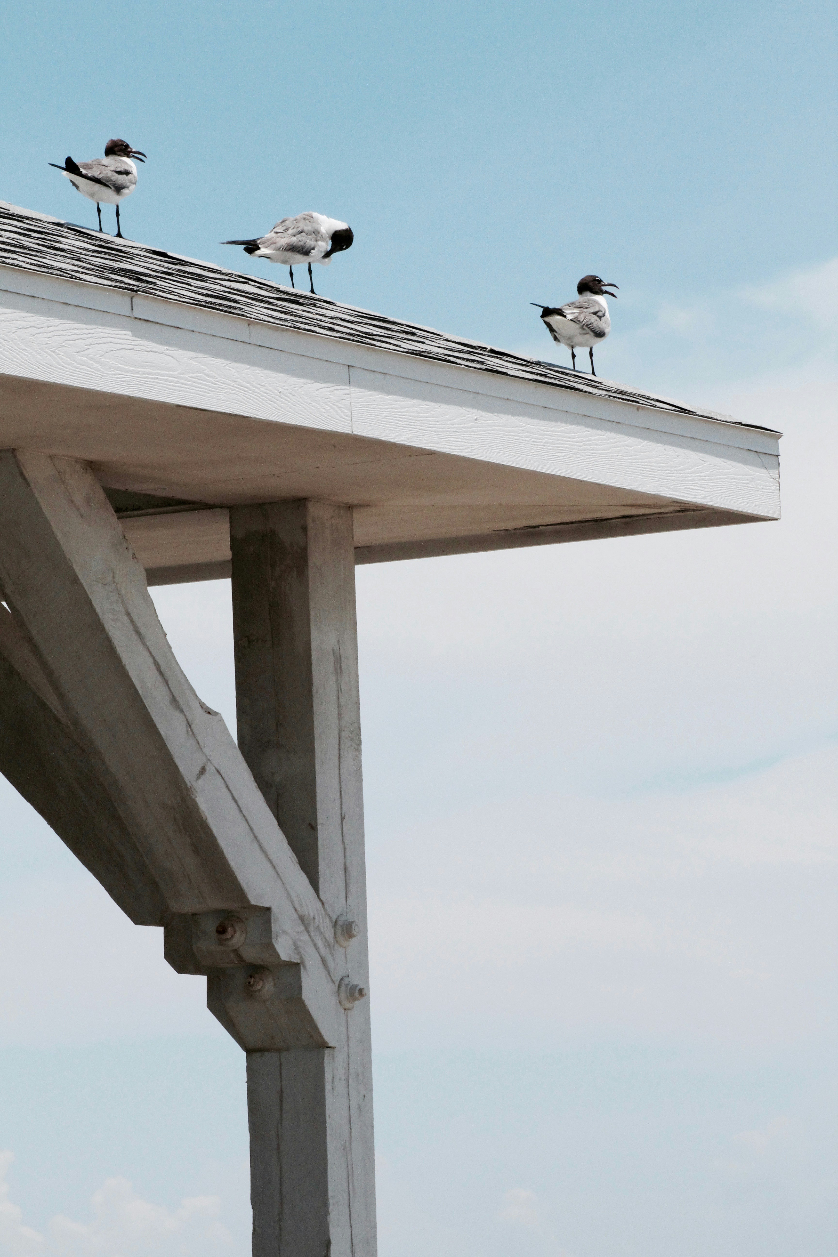 Photo by bridqgetbrooks