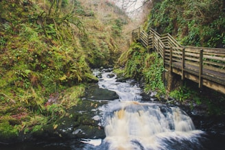 A serene forest trail leading to a sparkling waterfall in Aldeia Velha, surrounded by lush Atlantic Forest greenery.