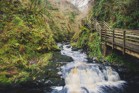 A serene forest trail leading to a sparkling waterfall in Aldeia Velha, surrounded by lush Atlantic Forest greenery.