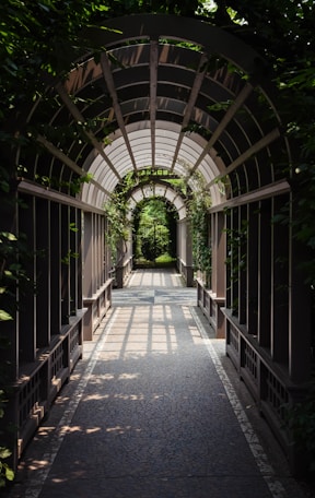 light through arch hallway under plants