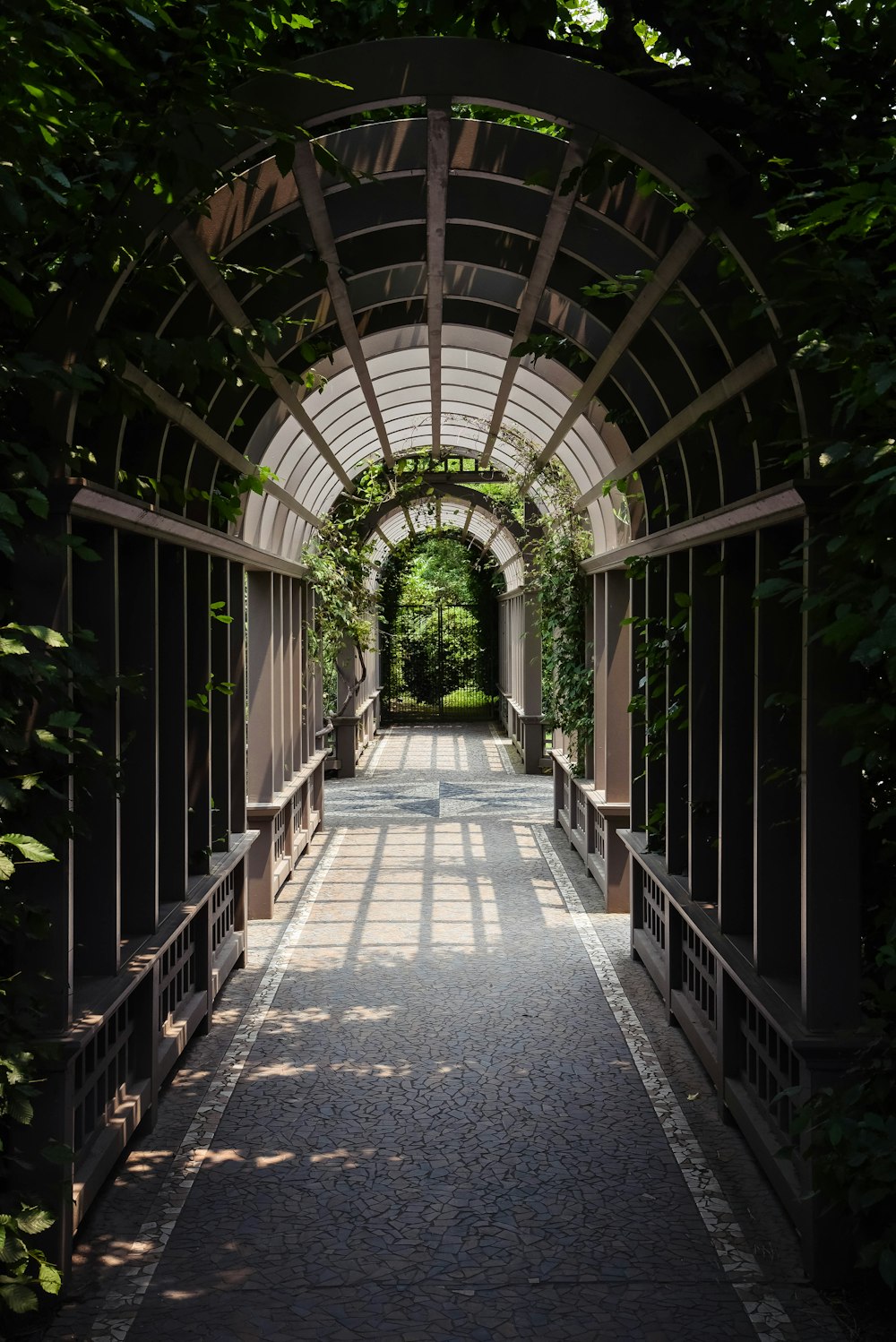 light through arch hallway under plants