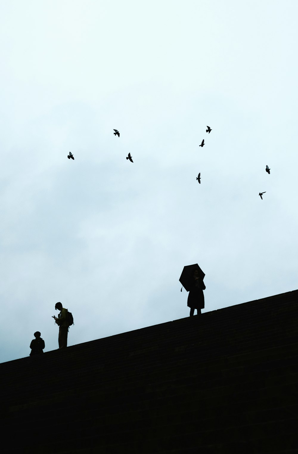 silhouette of people standing and birds flying in the sky