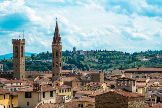 top view of Florence, Italy in Firenze Italy