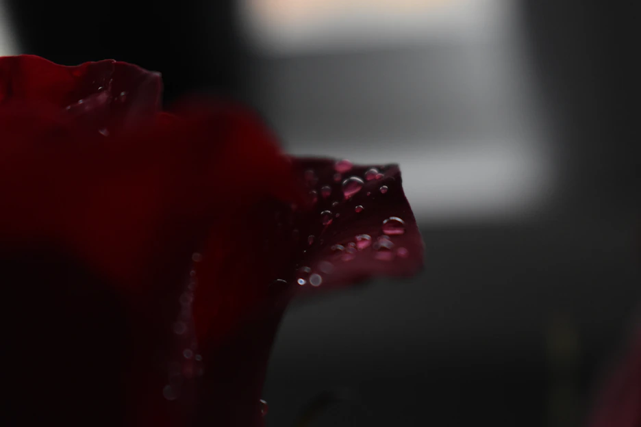 Close-up of dewy, glowing skin with soft pastel background highlighting hydration