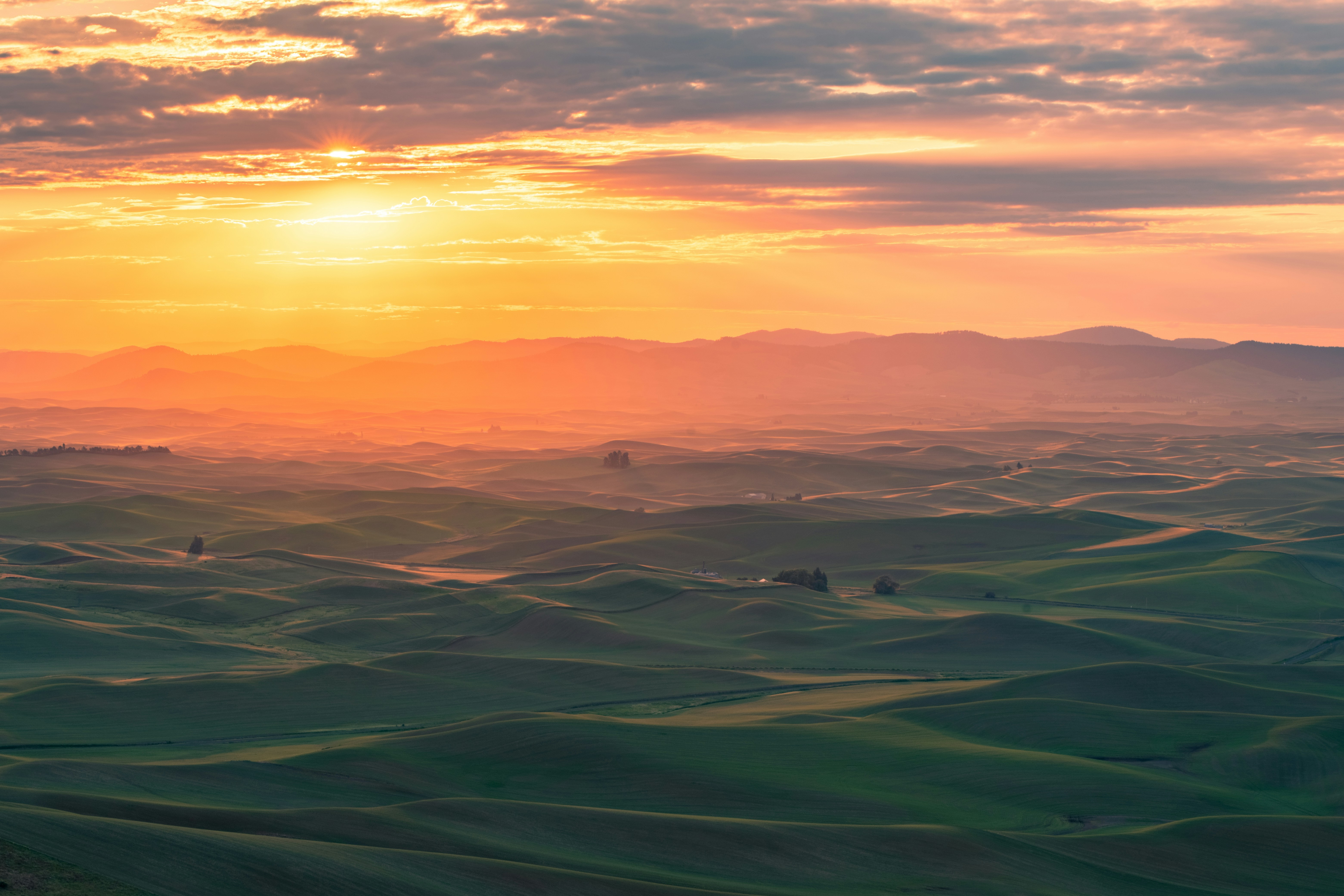 Photo by emilydimondphotography