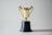 yellow and white trophy