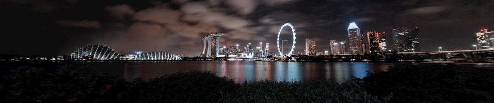 cityscape near body of water at night