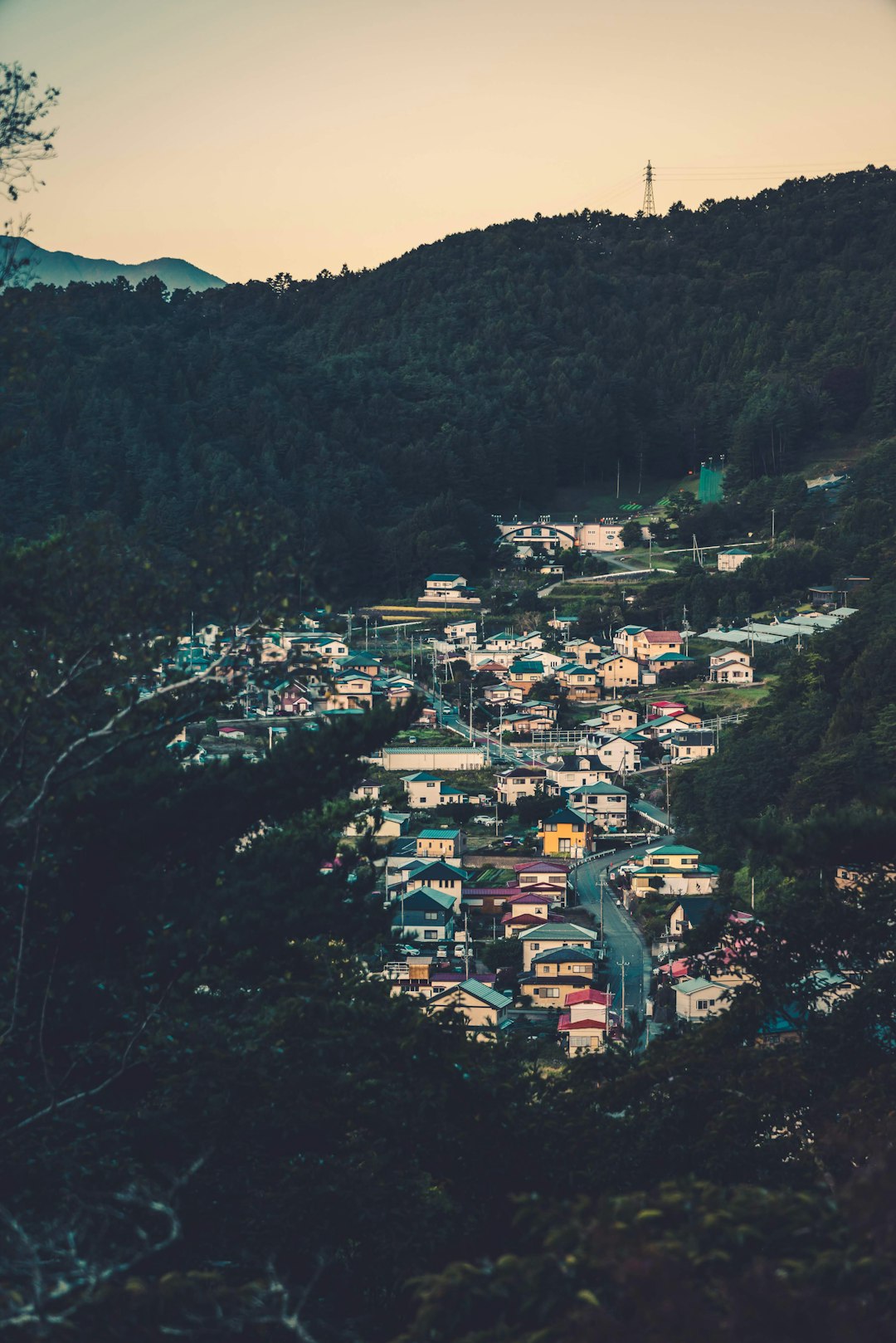 white and blue houses