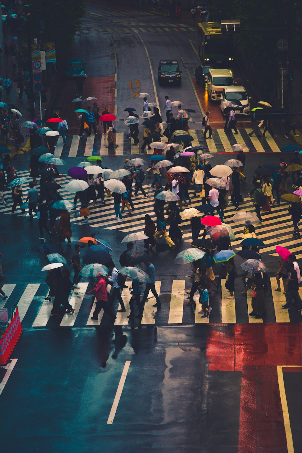 people crossing on street