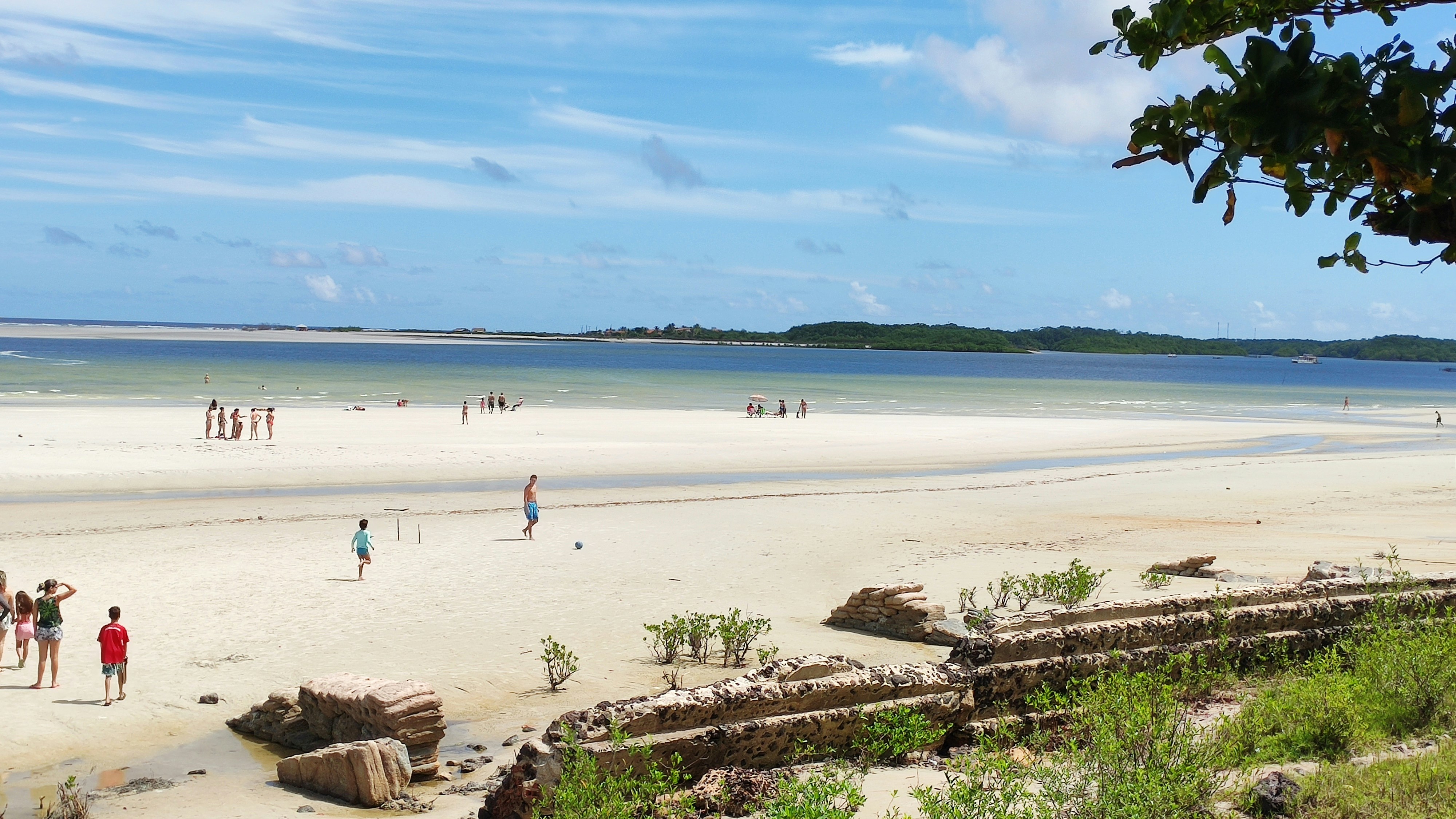 Harry Harris County Beach and Park