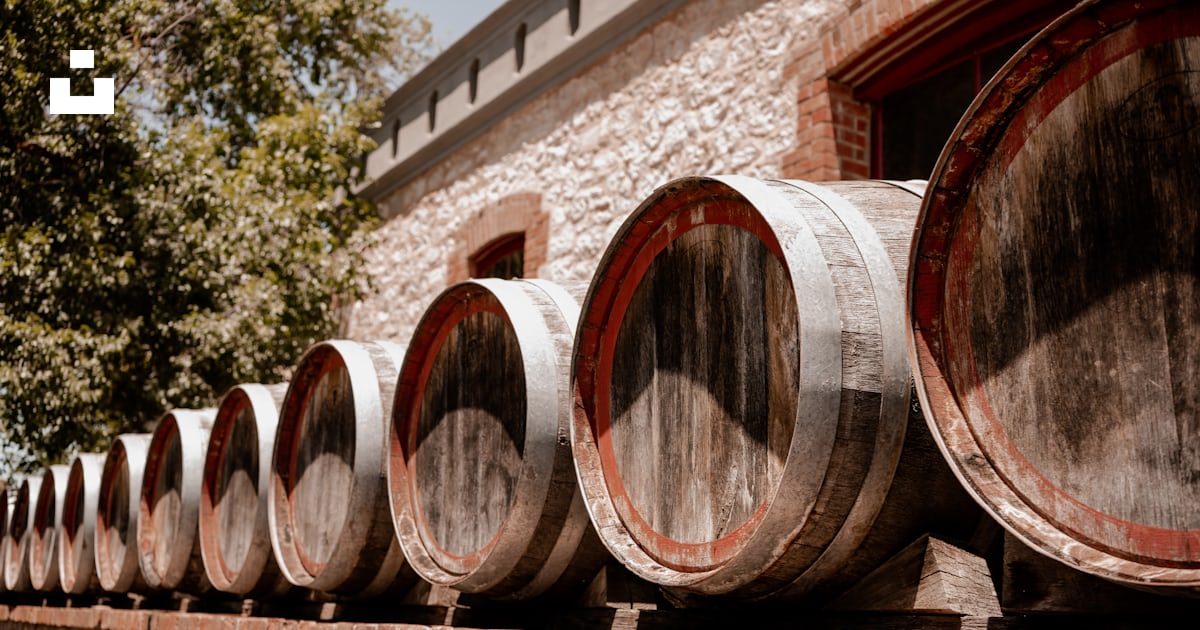 Exploring Outdoor Wine Tastings in California