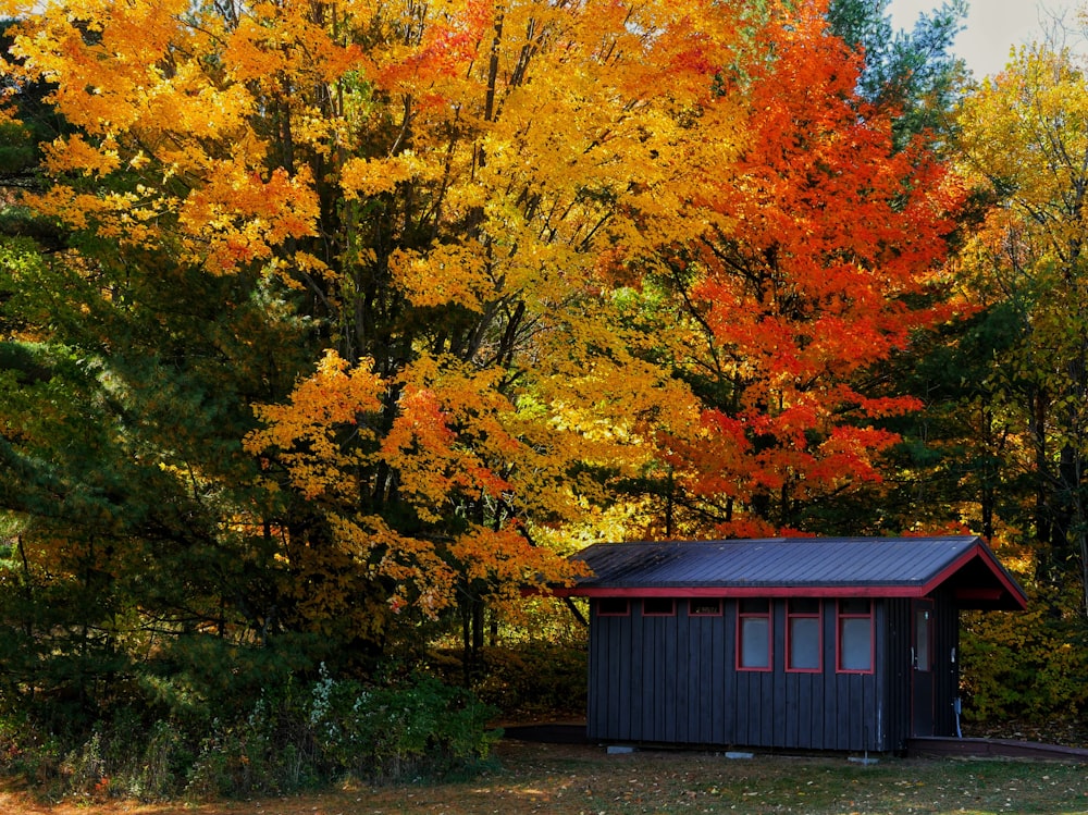 black shed under tree