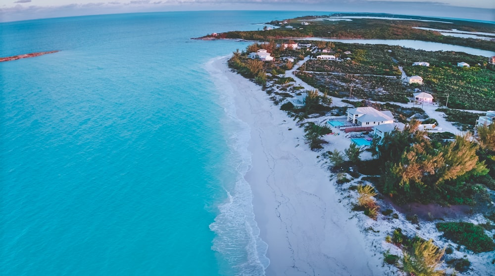 aerial photography of seashore